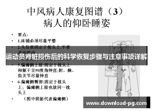 运动员肾脏损伤后的科学恢复步骤与注意事项详解