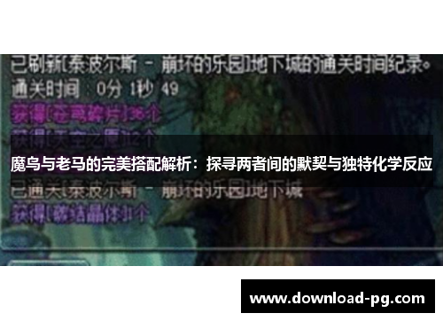 魔鸟与老马的完美搭配解析：探寻两者间的默契与独特化学反应